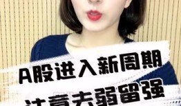 叶叶财经为什么换公众号（叶叶财经主持是谁）