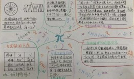 文化财经零基础学什么（文化财经零基础学什么课程）