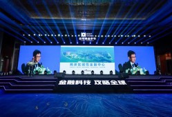 财经叶檀讲什么医疗股份（叶檀财经是干什么的）