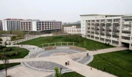财经类考什么专业好（财经类考什么专业好考公务员）