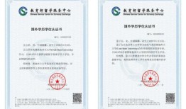 财经专家需要什么证书（财经专家需要什么证书和学历）
