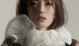 杨澜和凤凰财经什么关系（凤凰传媒 杨澜）