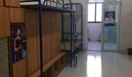 宁波财经学院什么专业（宁波财经学院什么专业宿舍在北区）