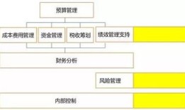财经管理主要干什么（财经管理主要干什么的）
