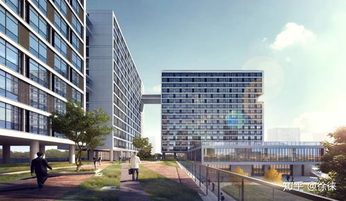 浙江财经大学为什么低（浙江财经大学好嘛）