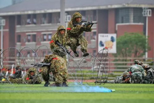 财经军训需要准备什么东西（财经大学军训）