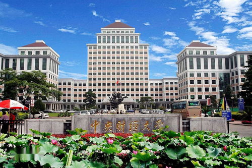 财经大学对门是什么小区（财经大学附近的宾馆）