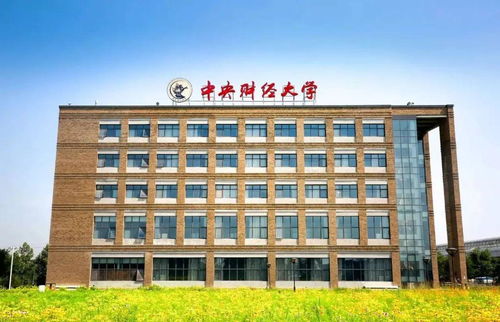 财经学院属于什么类（财经学院属于什么系）