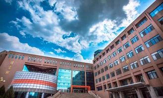 山东财经大学有什么美食（山东财经大学小吃）