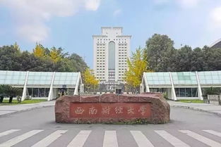 财经大学有什么网红（财经大学有什么网红学校）