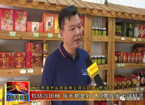 财经博主卖什么不违规（财经博主卖什么不违规的产品）