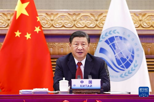 上海财经C组什么意思（上海财经大学abcd组什么意思）