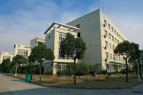 宁波财经有什么专业学校（宁波财经学院有哪些专科）