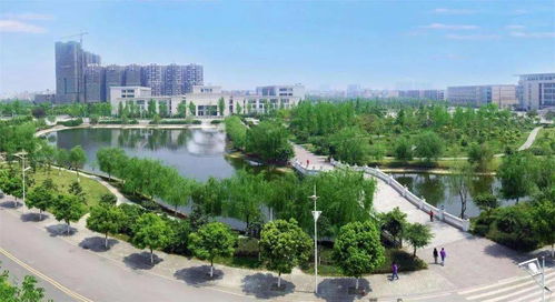 西南财经大学是什么水平（西南财经大学是什么水平的高校）
