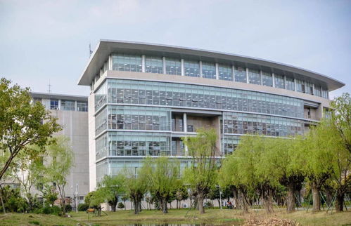 西南财经出来能干什么（西南财经大学出来好找工作吗）