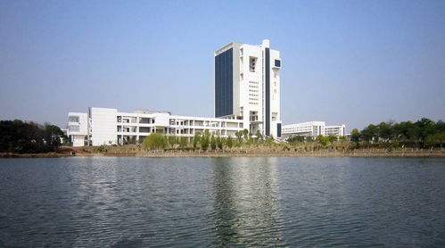 江西财经大学属什么区（江西财经大学属于哪个区哪个街道）